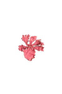 Jireh Brooch in Fuchsia